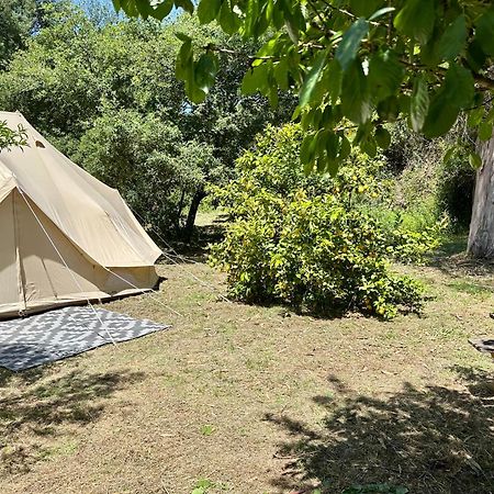 Giant Canvas Rental Tent Agro-Turismo Quinta Da Fonte Figueiro Dos Vinhos Eksteriør bilde