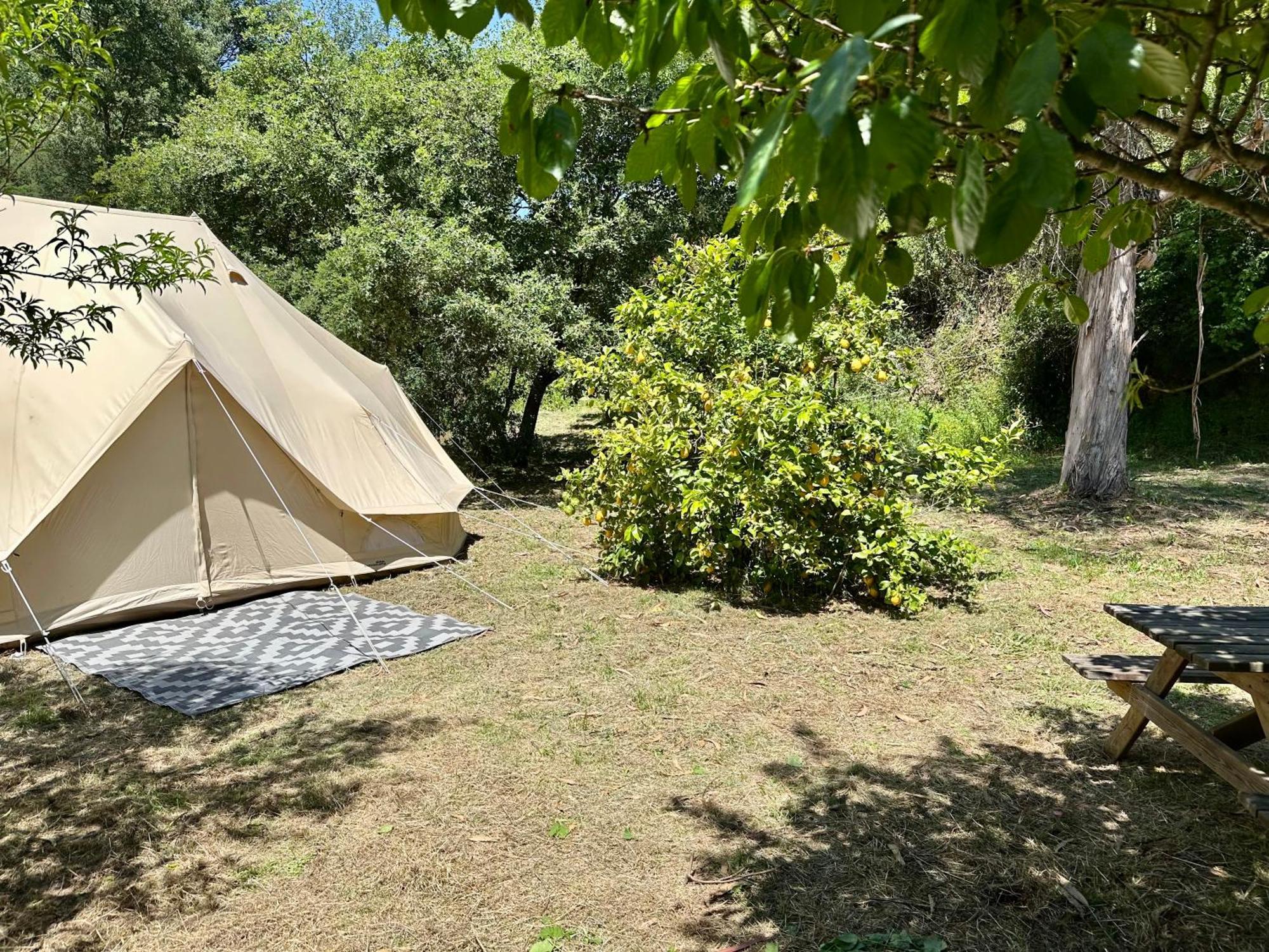 Giant Canvas Rental Tent Agro-Turismo Quinta Da Fonte Figueiro Dos Vinhos Eksteriør bilde