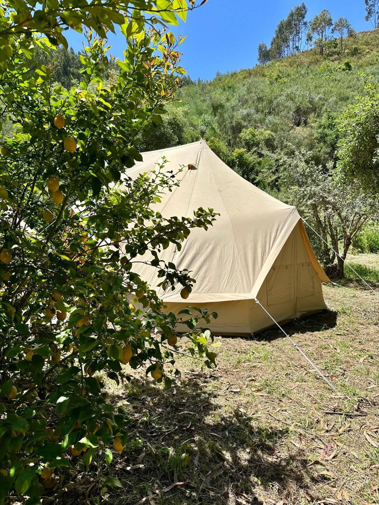 Giant Canvas Rental Tent Agro-Turismo Quinta Da Fonte Figueiro Dos Vinhos Eksteriør bilde