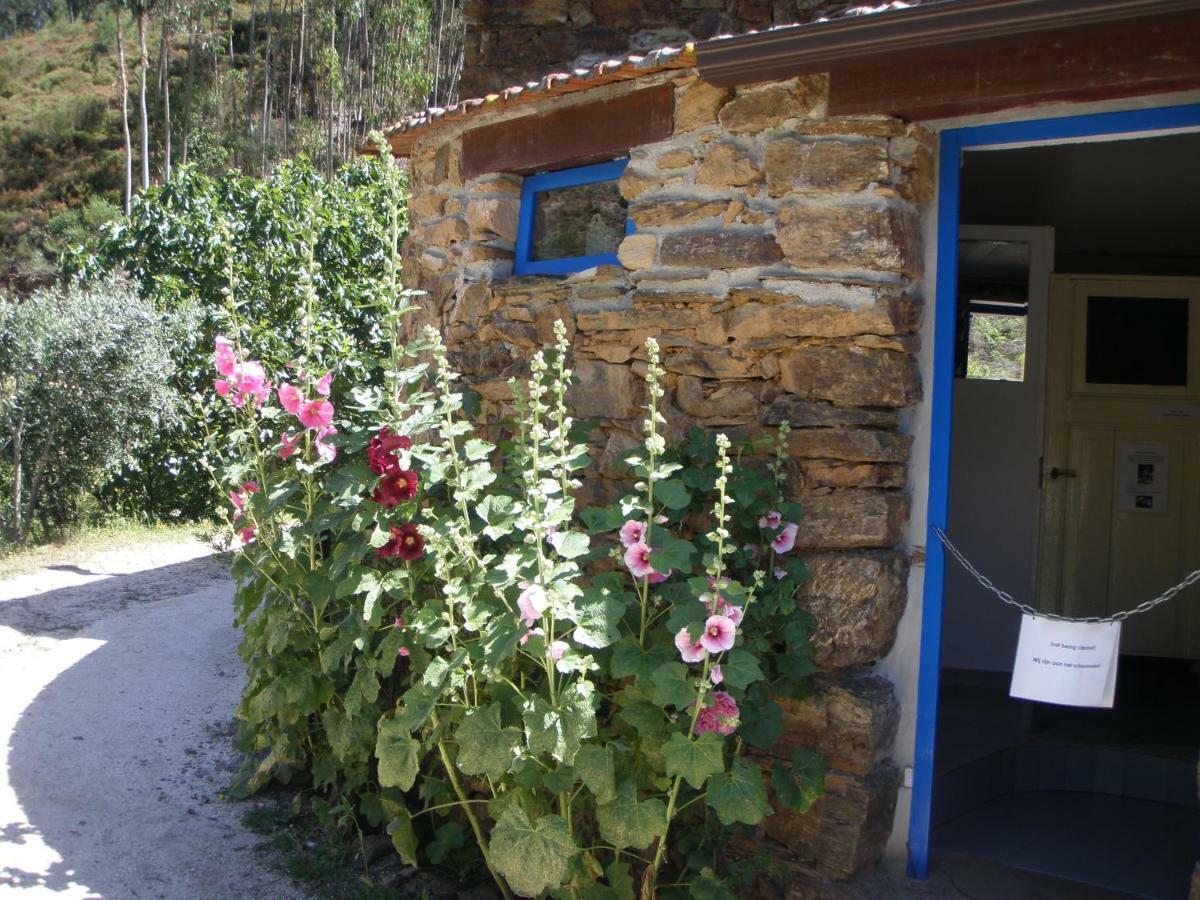 Giant Canvas Rental Tent Agro-Turismo Quinta Da Fonte Figueiro Dos Vinhos Eksteriør bilde