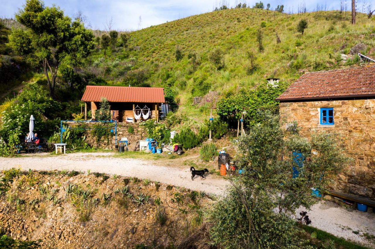 Giant Canvas Rental Tent Agro-Turismo Quinta Da Fonte Figueiro Dos Vinhos Eksteriør bilde