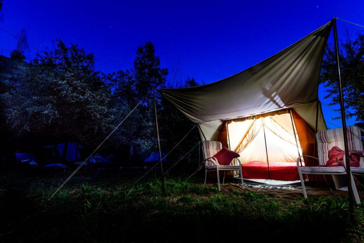 Giant Canvas Rental Tent Agro-Turismo Quinta Da Fonte Figueiro Dos Vinhos Eksteriør bilde